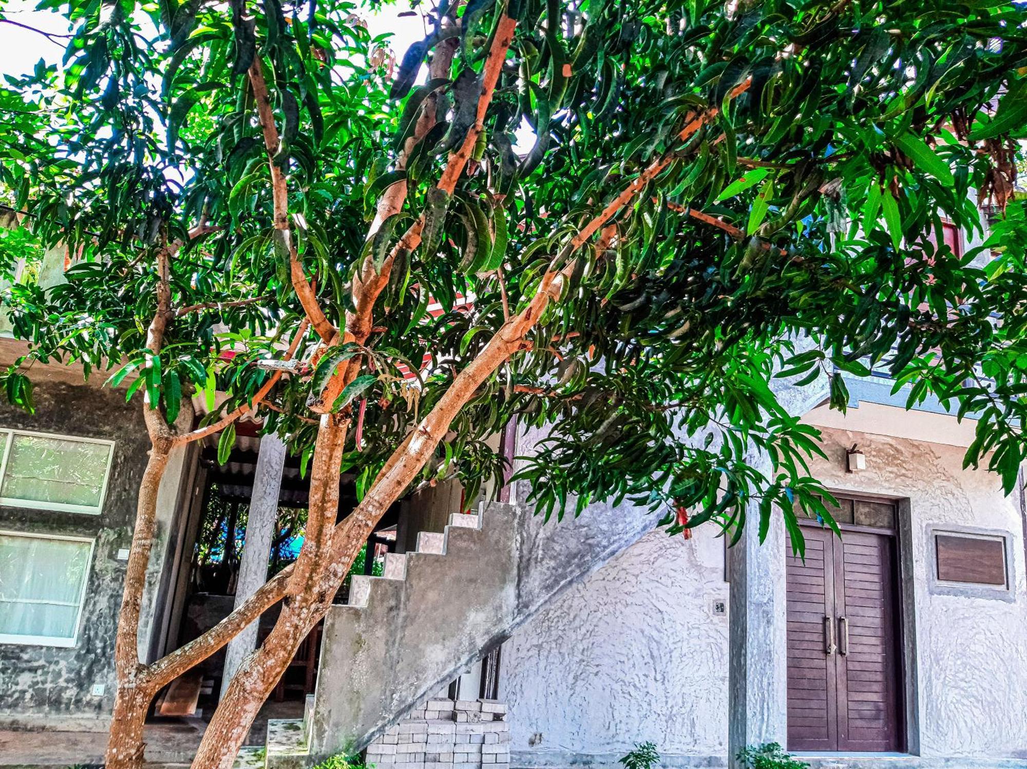 Dollyz Home - Sri Lanka Ambalangoda  Exterior photo